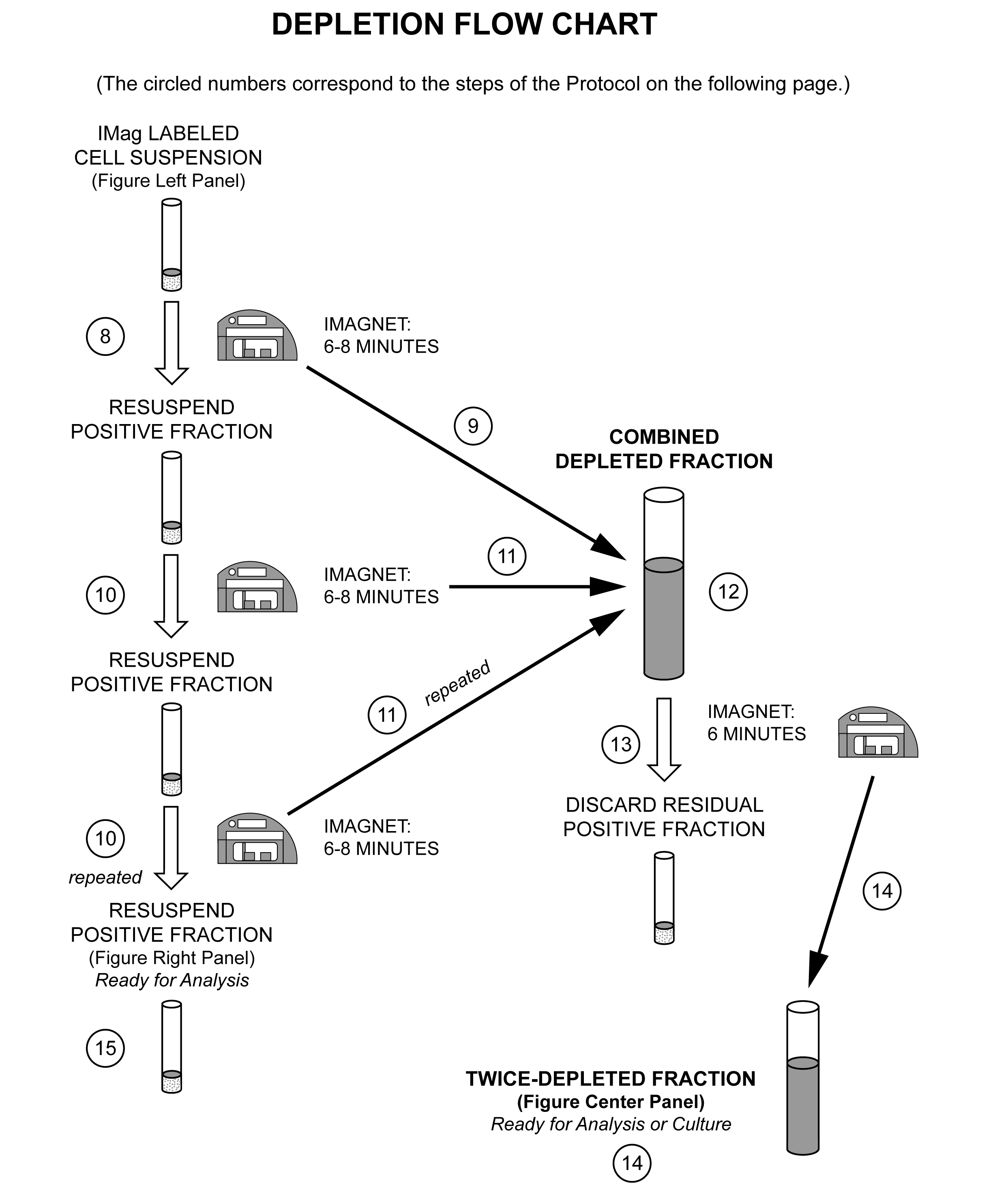 558536_DepletionFlowChart2.png